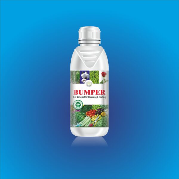 Bumper