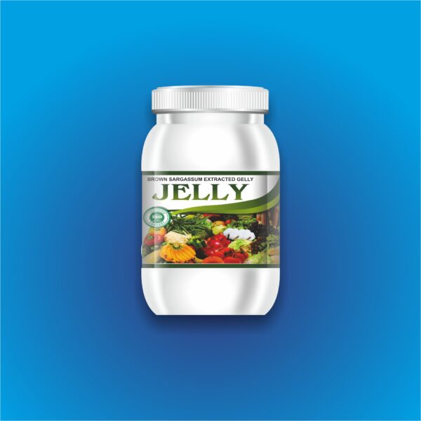 Jelly