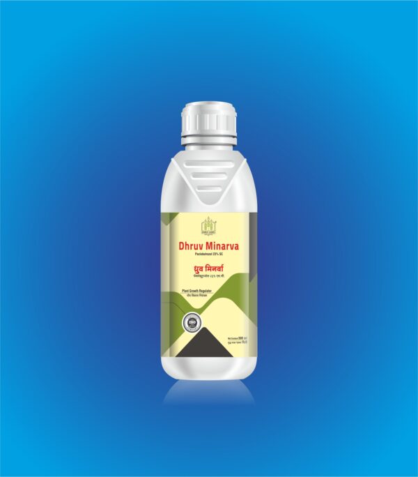Paclobutrazole 23% SC - Dhurv Minarva