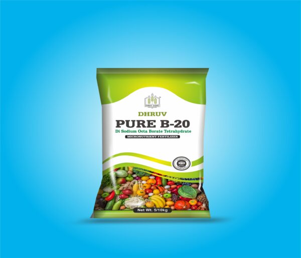 Dhruv Pure-B-20