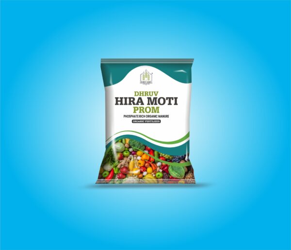 Dhruv Hira-Moti